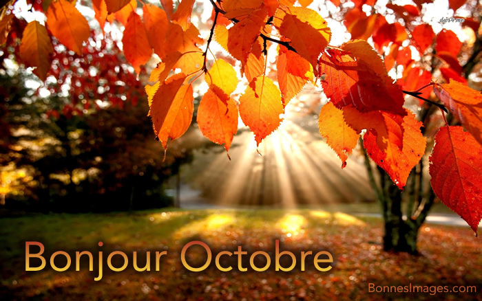 Planning Octobre 2026