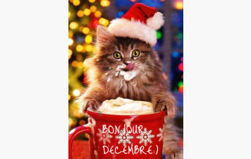 PLANNING Decembre 2025