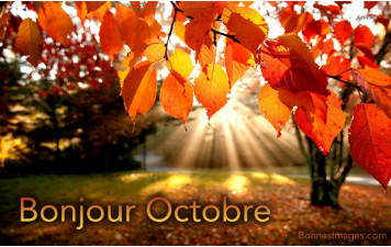 Planning Octobre 2026