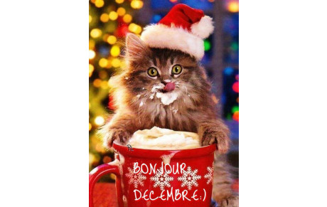 PLANNING Decembre 2025