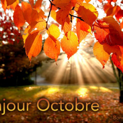 Planning Octobre 2026